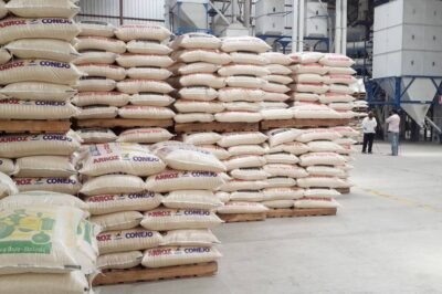 importación del arroz finalmente se dará y será desde Uruguay