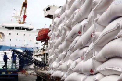 Ecuador espera importar 60 toneladas de arroz de Uruguay para fin de año