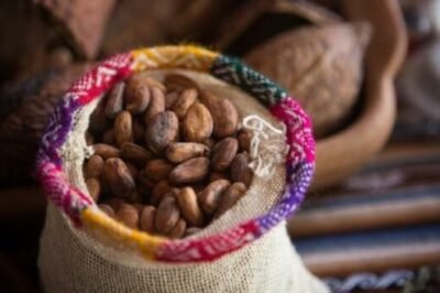 Son varios los factores que están en juego actualmente al momento de considerar la sostenibilidad de las exportaciones de cacao hacia el mercado de Europa. Varias están basadas en los problemas sociales de origen del producto y su impacto ambiental, por lo que seguir unas simples guías puede marcar la diferencia.