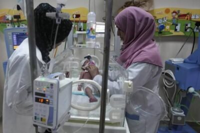 39 bebés mueren en hospitales de la Franja de Gaza por falta de electricidad