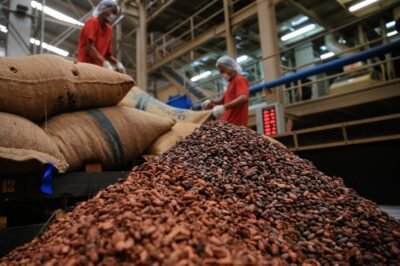 Por qué subieron los precios del cacao y qué significa para los amantes del chocolate